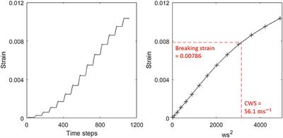 A New Architectural Perspective on Wind Damage in a Natural Forest